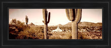 Load image into Gallery viewer, Phoenix Saguaro Cactus Open Edition Canvas / 8 X 24 Black Frame Art
