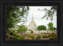 Load image into Gallery viewer, Phoenix Spring Blooms Open Edition Canvas / 24 X 36 Black Frame Art
