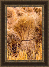 Load image into Gallery viewer, Plate 1 - Guatemala Highlands Shock Of Wheat Open Edition Canvas / 24 X 36 Frame M 45 3/4 33 Art
