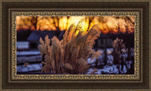 Load image into Gallery viewer, Plate 1 - Sunset Grasses Open Edition Canvas / 36 X 18 Frame M 27 3/4 45 Art
