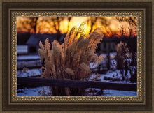 Load image into Gallery viewer, Plate 1 - Sunset Grasses Open Edition Canvas / 36 X 24 Frame M 33 3/4 45 Art
