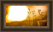 Load image into Gallery viewer, Plate 3 - Spring Brook Grasses Open Edition Canvas / 36 X 18 Frame M 27 3/4 45 Art
