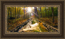Load image into Gallery viewer, Plate 4 - Suddenly A Light Descended! Open Edition Canvas / 36 X 18 Frame M 27 3/4 45 Art
