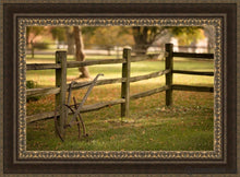 Load image into Gallery viewer, Plate 5 - Vintage Garden Cultivator Open Edition Canvas / 36 X 24 Frame M 33 3/4 45 Art
