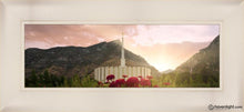 Load image into Gallery viewer, Provo Second Coming Open Edition Canvas / 18 X 6 Frame E 10 1/4 22 Art
