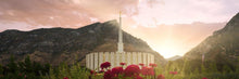 Load image into Gallery viewer, Provo Second Coming Open Edition Canvas / 18 X 6 Rolled Art
