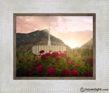 Load image into Gallery viewer, Provo Second Coming Open Edition Print / 10 X 8 Frame F 13.5 11.5 Art
