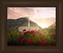 Load image into Gallery viewer, Provo Second Coming Open Edition Print / 20 X 16 Frame C 21 3/4 25 Art
