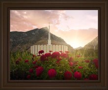 Load image into Gallery viewer, Provo Second Coming Open Edition Print / 20 X 16 Frame S 1/4 24 Art
