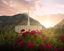 Load image into Gallery viewer, Provo Second Coming Open Edition Print / 20 X 16 Only Art
