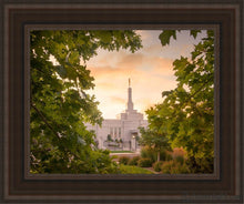 Load image into Gallery viewer, Reno Gardens Open Edition Canvas / 11 X 14 Brown Frame Art
