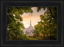 Load image into Gallery viewer, Reno Gardens Open Edition Canvas / 14 X 21 Black Frame Art
