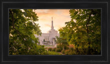Load image into Gallery viewer, Reno Gardens Open Edition Canvas / 15 X 30 Black Frame Art
