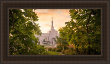 Load image into Gallery viewer, Reno Gardens Open Edition Canvas / 15 X 30 Brown Frame Art
