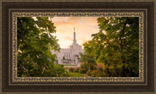 Load image into Gallery viewer, Reno Gardens Open Edition Canvas / 36 X 18 Frame M 27 3/4 45 Art

