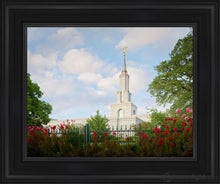 Load image into Gallery viewer, Sacramento Flowers Open Edition Canvas / 11 X 14 Black Frame Art
