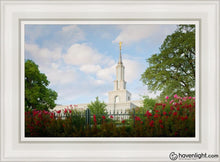 Load image into Gallery viewer, Sacramento Flowers Open Edition Canvas / 14 X 21 White Frame Art
