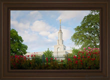 Load image into Gallery viewer, Sacramento Flowers Open Edition Canvas / 20 X 30 Brown Frame Art
