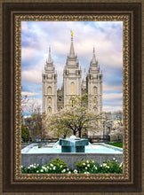 Load image into Gallery viewer, Salt Lake Temple Spring Fountain Open Edition Canvas / 24 X 36 Frame M 45 3/4 33 Art
