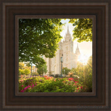 Load image into Gallery viewer, Salt Lake - The Lord Is My Light Open Edition Canvas / 12 X Brown Frame Art
