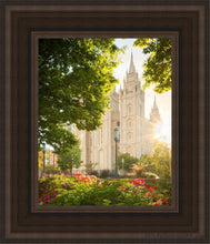 Load image into Gallery viewer, Salt Lake - The Lord Is My Light (Vertical) Open Edition Canvas / 8 X 10 Brown Frame Art
