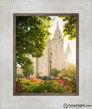 Load image into Gallery viewer, Salt Lake - The Lord Is My Light (Vertical) Open Edition Print / 8 X 10 Frame E 11.5 13.5 Art
