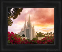 Load image into Gallery viewer, San Diego Flowers Open Edition Canvas / 11 X 14 Black Frame Art
