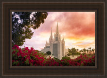 Load image into Gallery viewer, San Diego Flowers Open Edition Canvas / 14 X 21 Brown Frame Art
