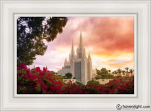Load image into Gallery viewer, San Diego Flowers Open Edition Canvas / 14 X 21 White Frame Art
