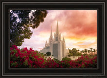 Load image into Gallery viewer, San Diego Flowers Open Edition Canvas / 20 X 30 Black Frame Art
