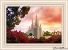 Load image into Gallery viewer, San Diego Flowers Open Edition Canvas / 20 X 30 White Frame Art
