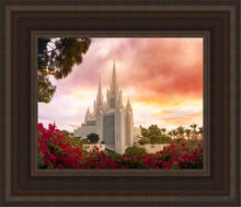 Load image into Gallery viewer, San Diego Flowers Open Edition Canvas / 8 X 10 Brown Frame Art
