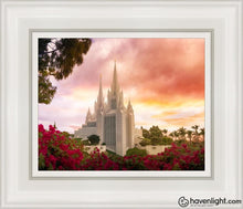 Load image into Gallery viewer, San Diego Flowers Open Edition Canvas / 8 X 10 White Frame Art
