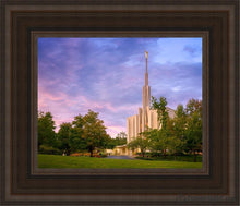Load image into Gallery viewer, Seattle Evening Panorama Open Edition Canvas / 8 X 10 Brown Frame Art
