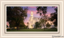 Load image into Gallery viewer, St. George Enlightenment Open Edition Canvas / 36 X 18 Frame W 26 3/4 44 Art
