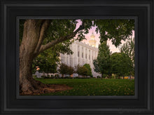 Load image into Gallery viewer, St. George Tree Of Life Open Edition Canvas / 12 X 18 Black Frame Art
