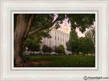 Load image into Gallery viewer, St. George Tree Of Life Open Edition Canvas / 12 X 18 White Frame Art
