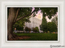 Load image into Gallery viewer, St. George Tree Of Life Open Edition Canvas / 14 X 21 White Frame Art
