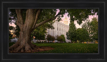 Load image into Gallery viewer, St. George Tree Of Life Open Edition Canvas / 15 X 30 Black Frame Art
