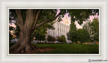 Load image into Gallery viewer, St. George Tree Of Life Open Edition Canvas / 15 X 30 White Frame Art
