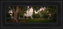 Load image into Gallery viewer, St. George Tree Of Life Open Edition Canvas / 6 X 18 Black Frame Art
