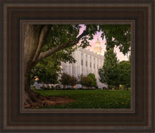 Load image into Gallery viewer, St. George Tree Of Life Open Edition Canvas / 8 X 10 Brown Frame Art
