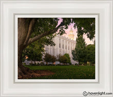Load image into Gallery viewer, St. George Tree Of Life Open Edition Canvas / 8 X 10 White Frame Art
