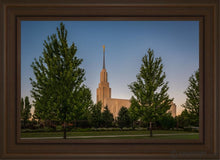 Load image into Gallery viewer, Twin Falls Green Glory Open Edition Canvas / 20 X 30 Brown Frame Art
