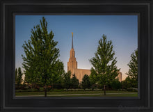 Load image into Gallery viewer, Twin Falls Green Glory Open Edition Canvas / 24 X 36 Black Frame Art
