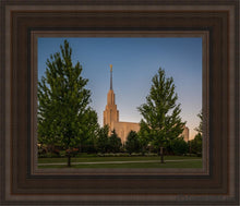 Load image into Gallery viewer, Twin Falls Green Glory Open Edition Canvas / 8 X 10 Brown Frame Art
