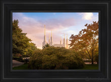 Load image into Gallery viewer, Washington Dc Sunset Panorama Open Edition Canvas / 14 X 21 Black Frame Art
