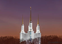 Load image into Gallery viewer, Washington Dc Temple Evening Glow Open Edition Print / 7 X 5 Only Art
